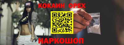 дживик Можга