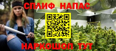дживик Можга