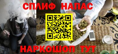 дживик Можга