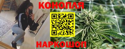 дживик Моздок