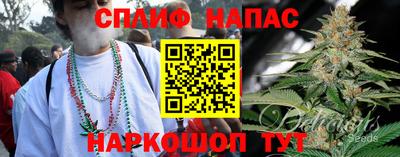 дживик Моздок