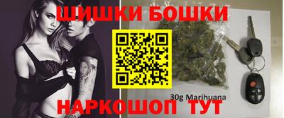 дживик Моздок