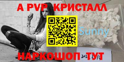 дживик Можга