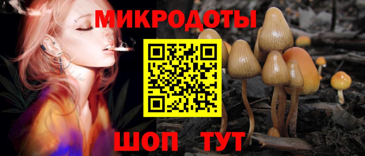 Владимир  Псилоцибиновые грибы Magic Shrooms  Вход с VPN 