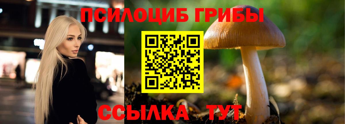 Галлюциногенные грибы ЛСД Владимир