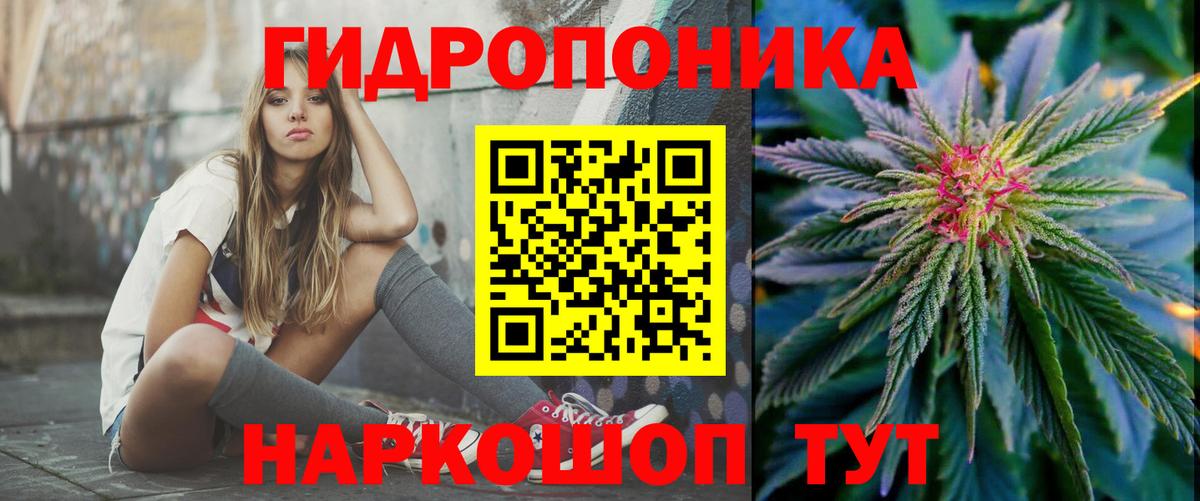 Владимир  Бошки Шишки план  Вход с VPN  Канабис LSD WEED 
